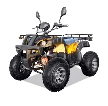 aukštos kokybės suaugusiųjų elektros ATV 2000W quad bike pardavimui