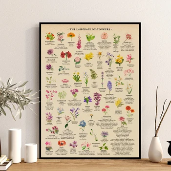 Gėlių Reikšmės Nuoroda Diagramos Plakatas Derliaus Botanikos Spausdinimo 