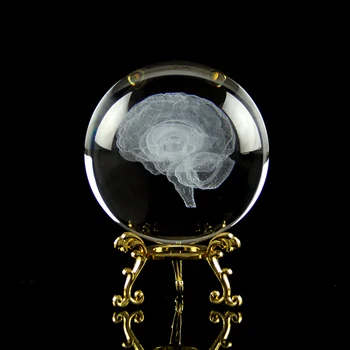 Karšto Parduoti Medicinos Suvenyrų Smegenų Krištolo Rutulį Žmogaus Organų Cerebrum Miniatiūrinis Modelis, Namų Dekoravimo, Ornamentų Ligoninės Dekoras