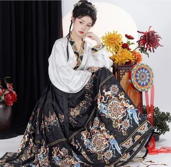 Klasikinis Arklių Veido Sijonas Hanfu Ming Dinastijos Stilius, Pilnas Komplektas, Moterims, Pavasarį, Rudenį Kasdien Dėvėti Juodas Raudonas Tradicinis Kostiumas