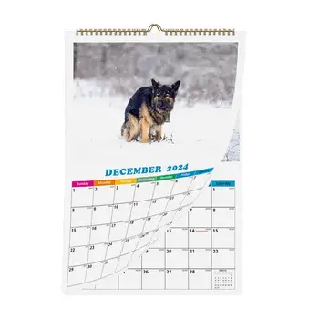 Šuo Pooping Kalendorius 2024 Juokingas Šunų Kalendorių Kamštukas Dovanos Šunys Pooping Gražių Vietų 2024 Kalendorius Šuo 2024 Hangable Kalendorius